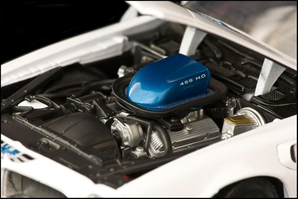 IMAGE: http://img.photobucket.com/albums/v157/Amfamora/My%20Photography/_MG_0065.jpg