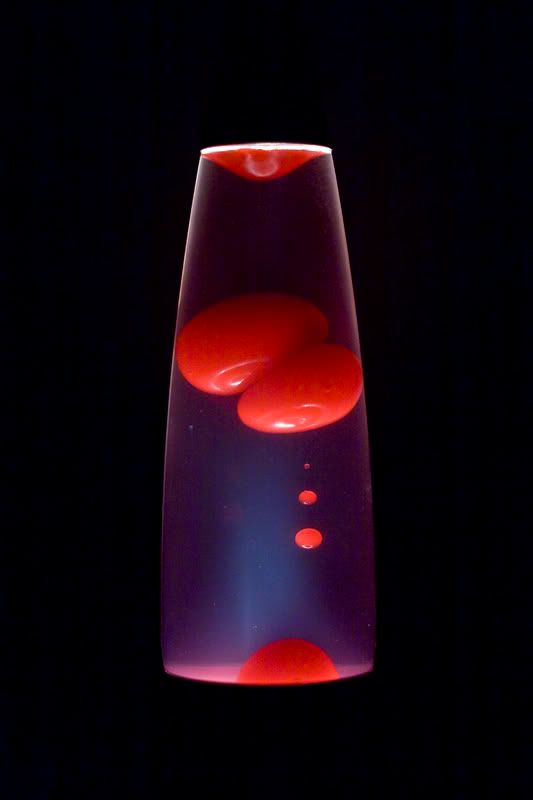 IMAGE: http://img.photobucket.com/albums/v157/Amfamora/_MG_0016.jpg