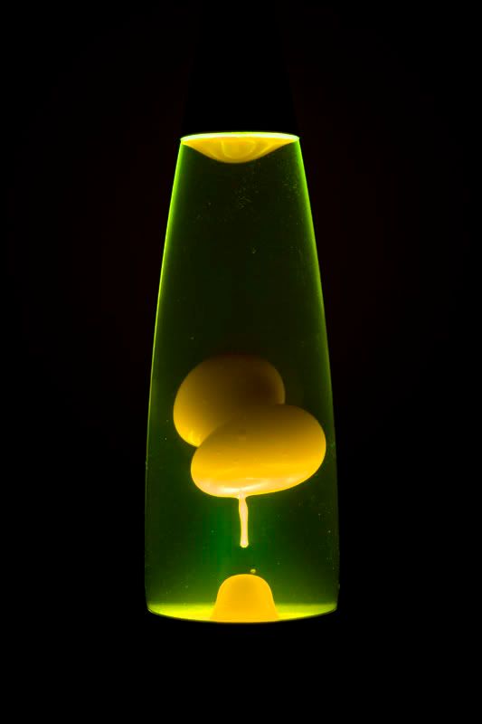 IMAGE: http://img.photobucket.com/albums/v157/Amfamora/_MG_0026.jpg