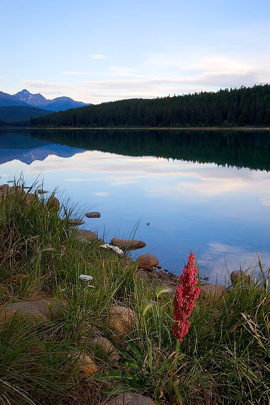 IMAGE: http://img.photobucket.com/albums/v157/Oilfan94/Rocky%20Mountains%20-%202007/6007-FR-web.jpg