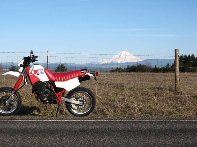 VMX0209026.jpg