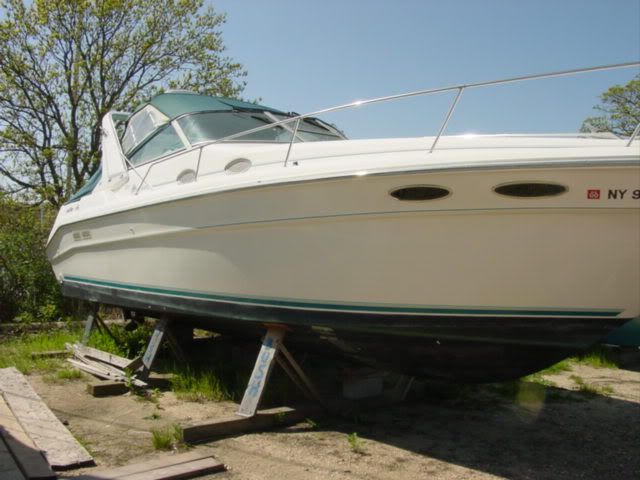 DSC01316.jpg