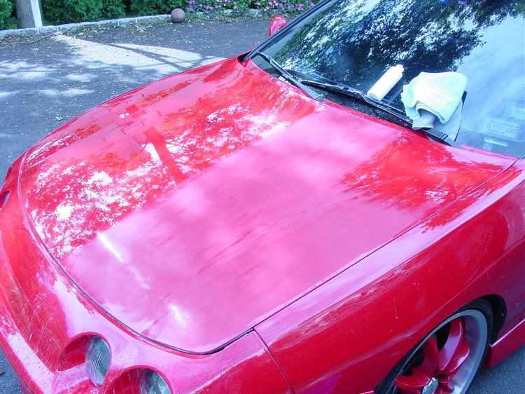 DSC02733.jpg