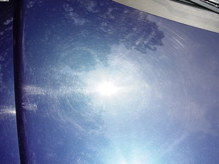 DSC05531.jpg