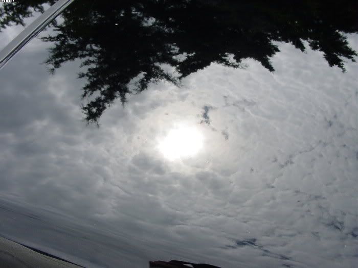 DSC05693.jpg