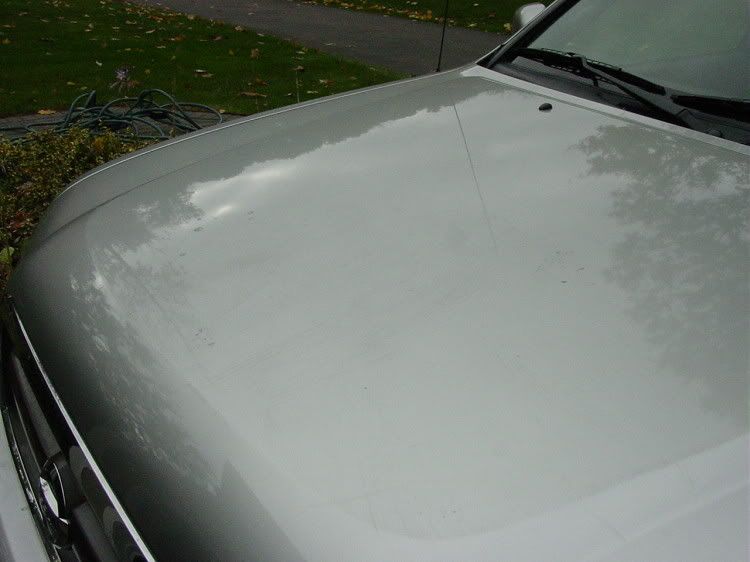 DSC03130.jpg