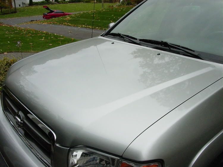 DSC03140.jpg