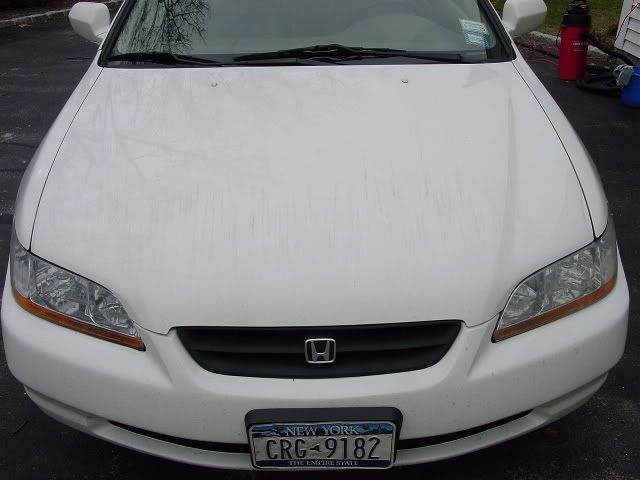DSC04054.jpg