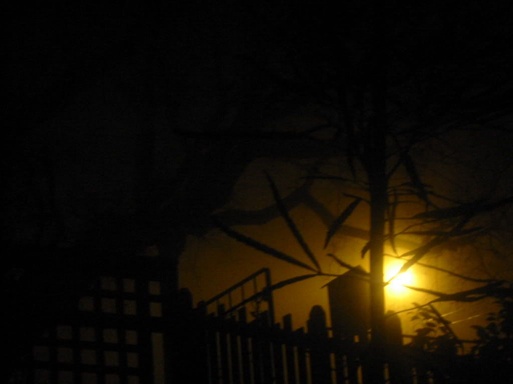 Streetlight by fog