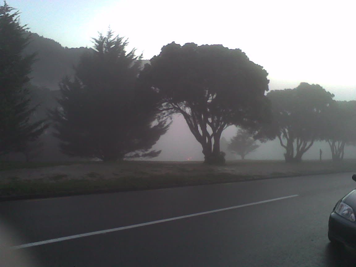  Salamanca fog