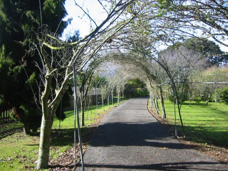 Looking towards the North gate