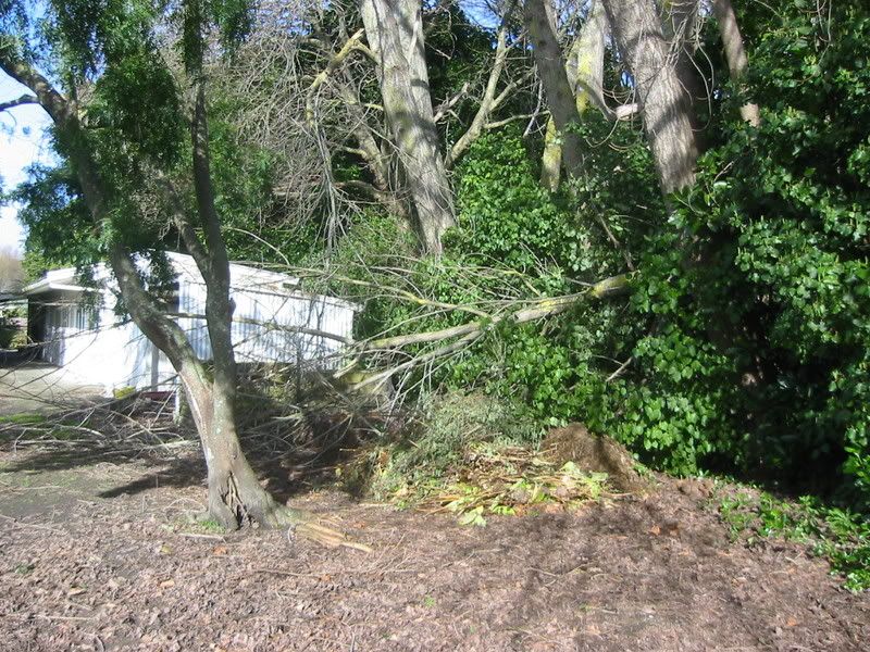 Storm damage