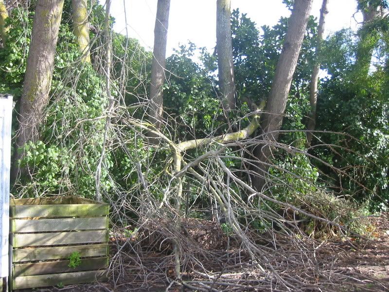 Storm damage