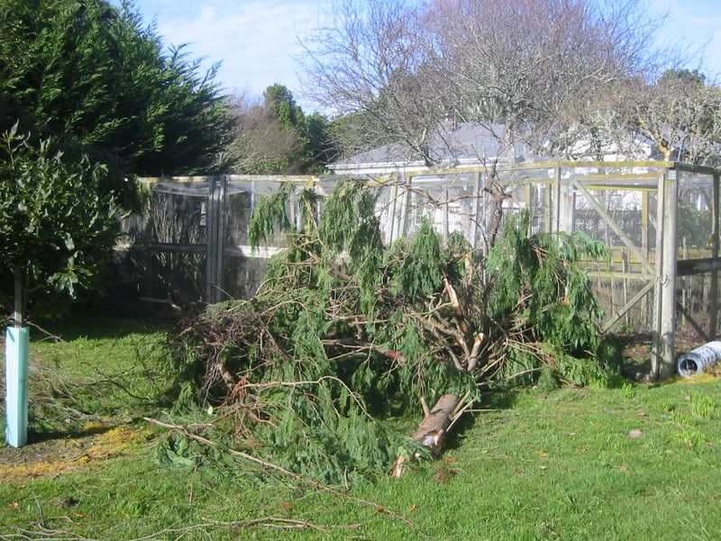 Storm damage