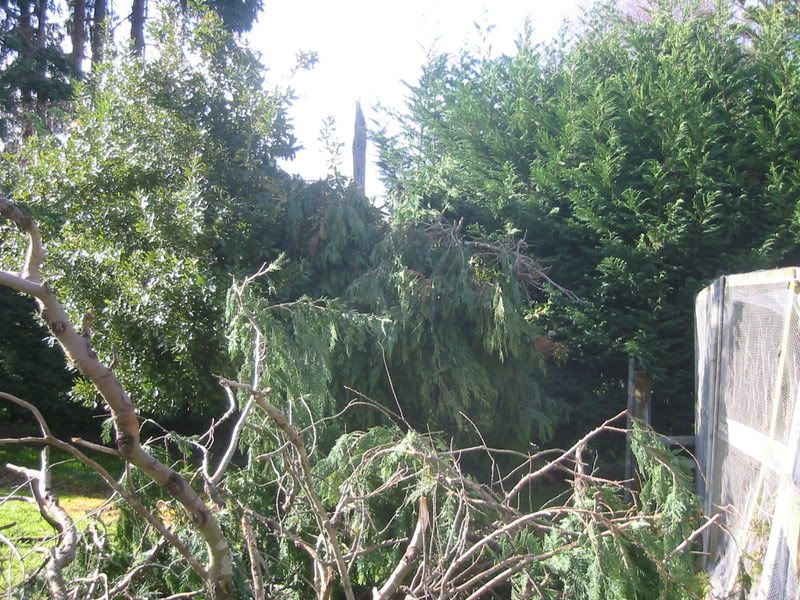 Storm damage