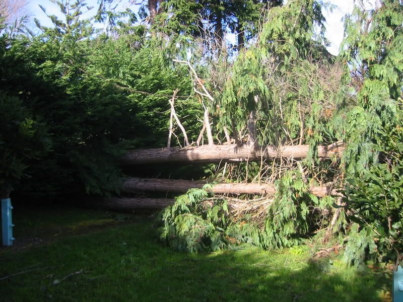 Storm damage