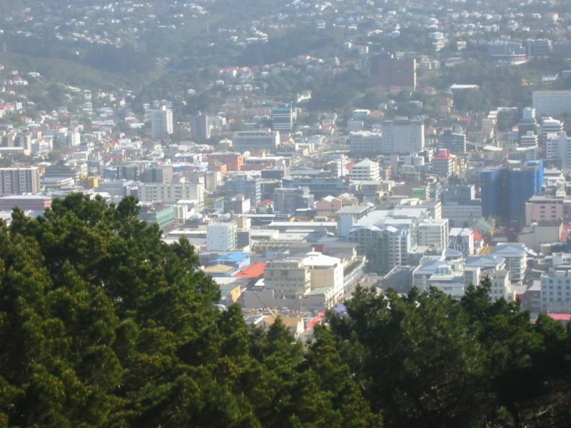 Looking out from Mt Vic #1