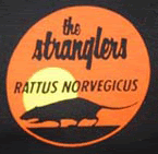 Rattus Norvegicus