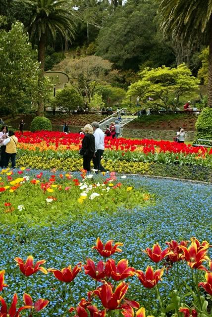 Bot Gardens, Wgtn