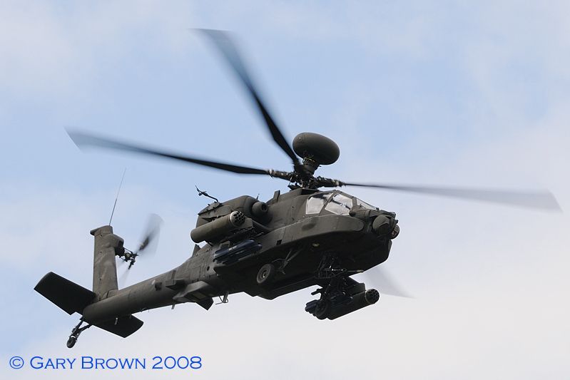 http://img.photobucket.com/albums/v157/woodlands/Farnborough%2008/Farn0816GaryBrown.jpg
