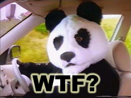 PandaWTF.jpg