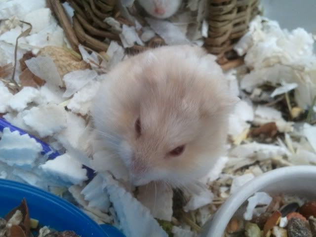 Cutest little biter ever