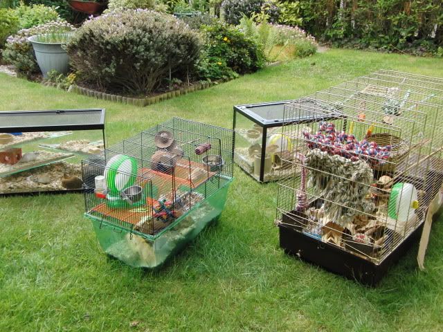 All the cages