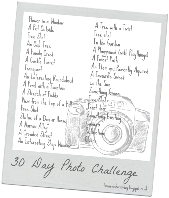 Photo a Day Challenge