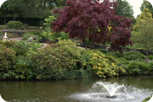 A Pond with a Fountain