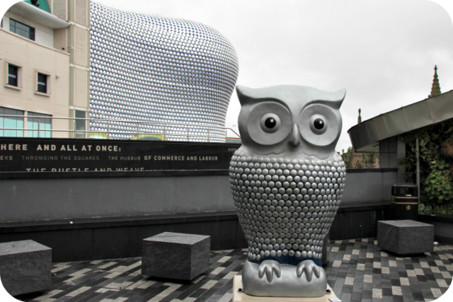 Birmingham Owl