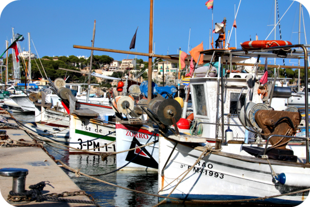 Porto Cristo Boats