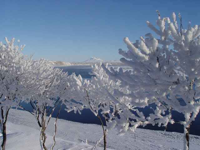 Frosted640x480.jpg