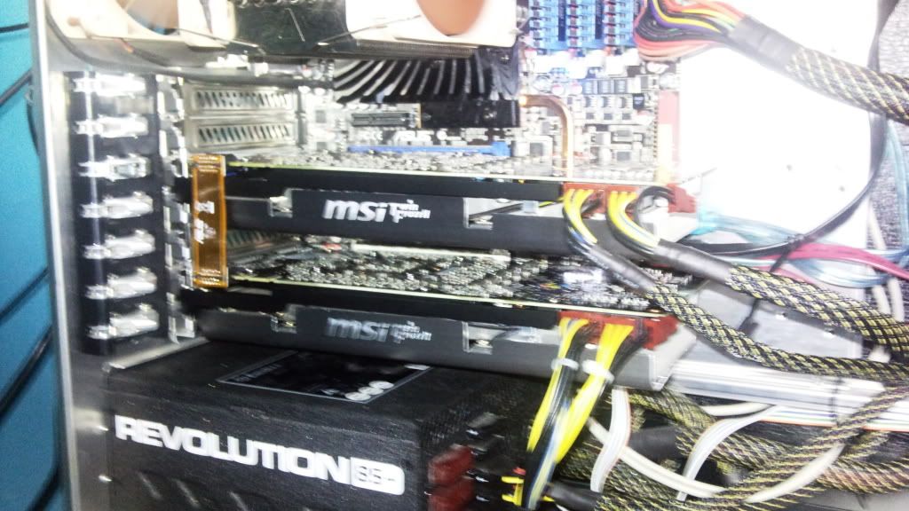 20110403-1.jpg