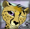Cheetah Avatar