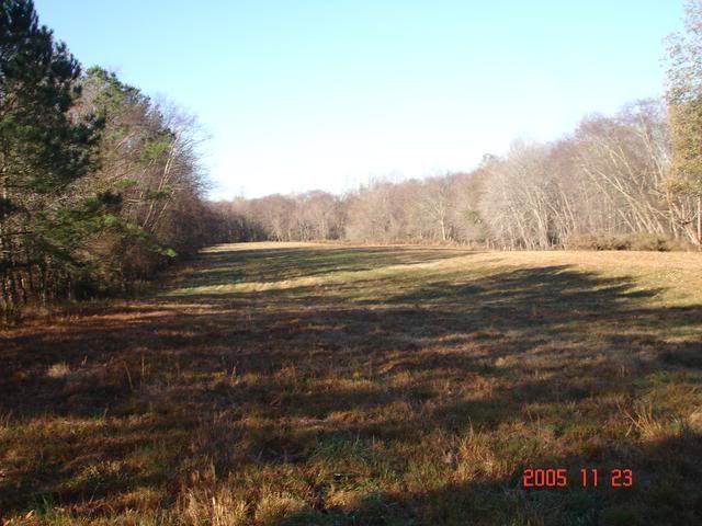 DSC01277.jpg?t=1164844193