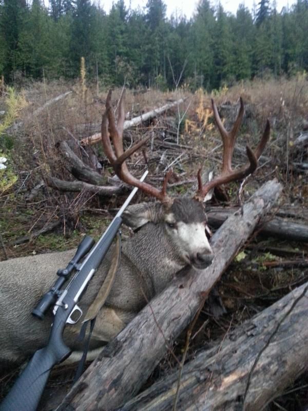  photo Mike2014mulie_zps0178bd98.jpg