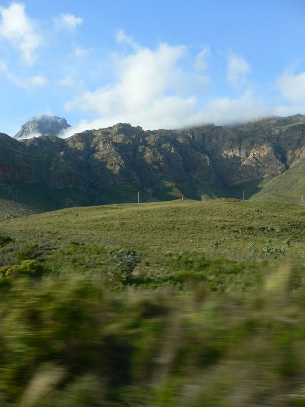 Landscapes: Normal Environment Landscapes: Normal Environment