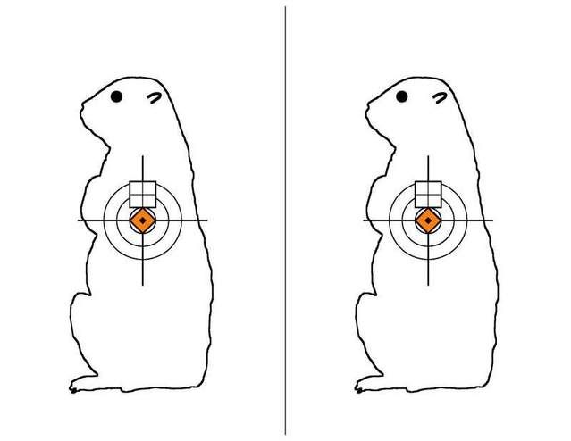 SQUEEK285x11.jpg