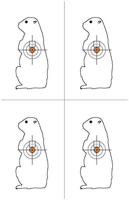 SQUEEKS11x17.jpg