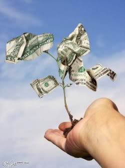 MoneyTree1.jpg