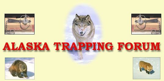 Alaska Trapping Forum