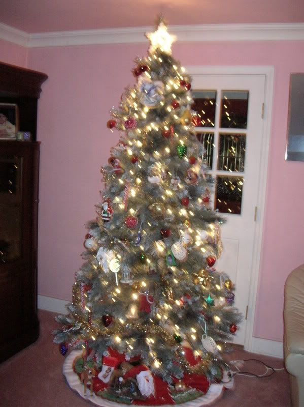 DSCN1309.jpg