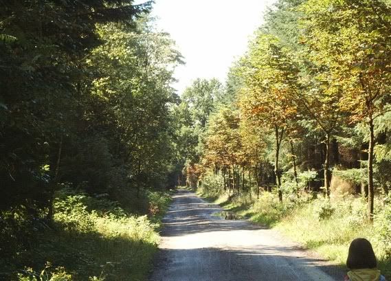 Image hosted by Photobucket.com