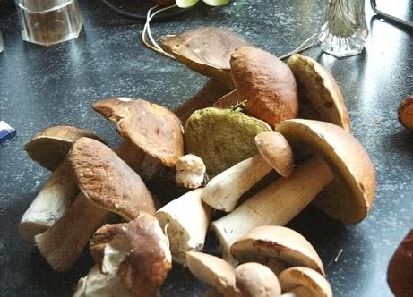 Image hosted by Photobucket.com