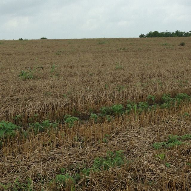  photo 5D7D1BA8-C914-4CAA-96F0-BB4B5E8A91C9.jpg