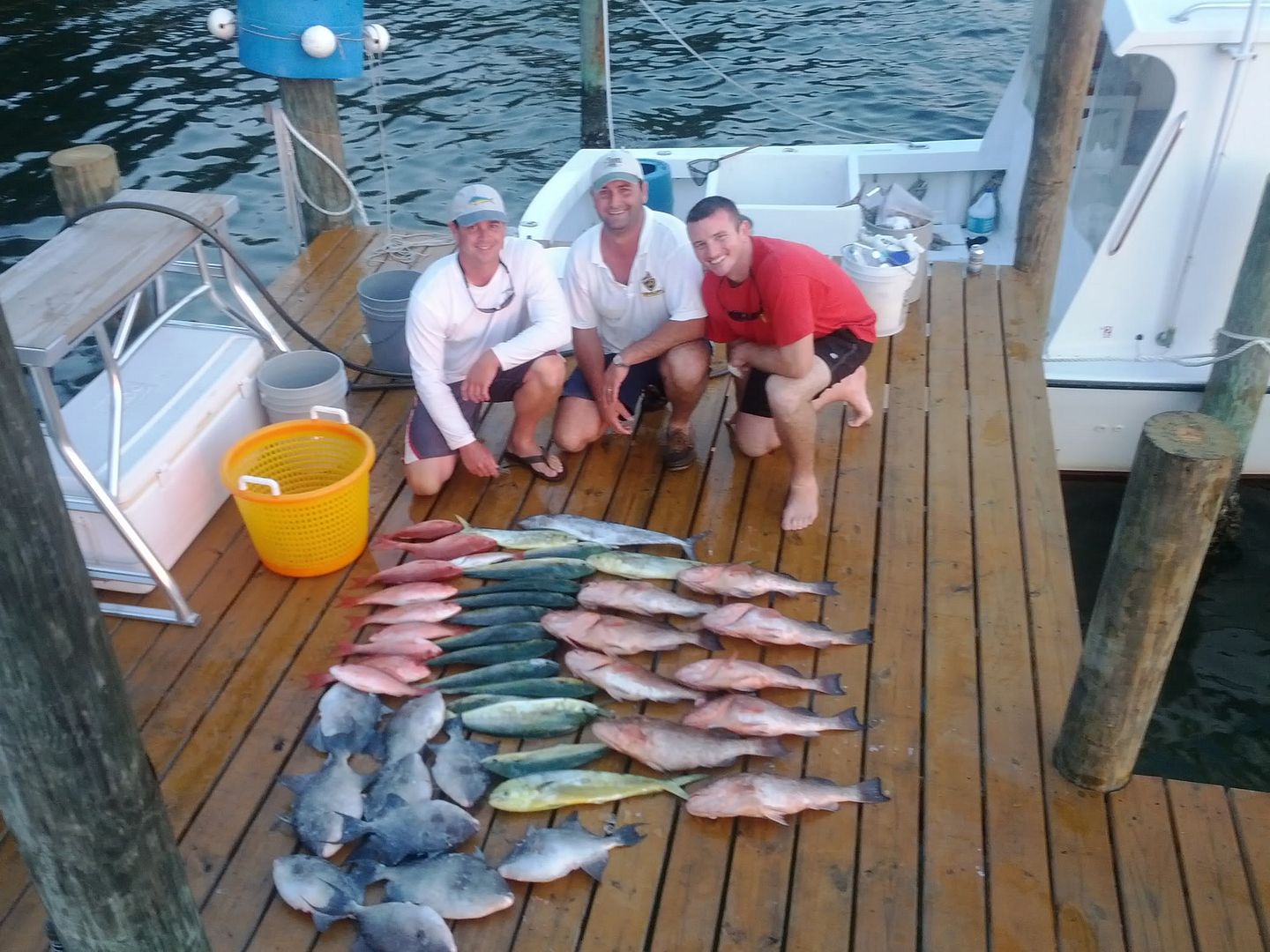 redgrouperinshore2.jpg?t=1337527062