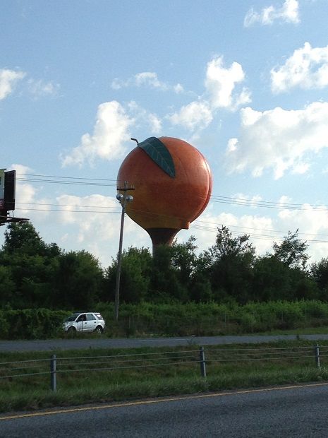 Long Distance Driving to D.C.