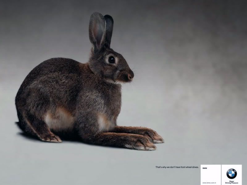 1-hare.jpg?t=1262611224