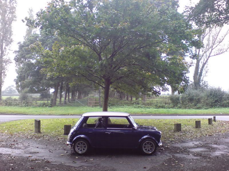 Posted Image