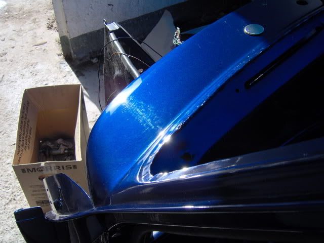 Posted Image